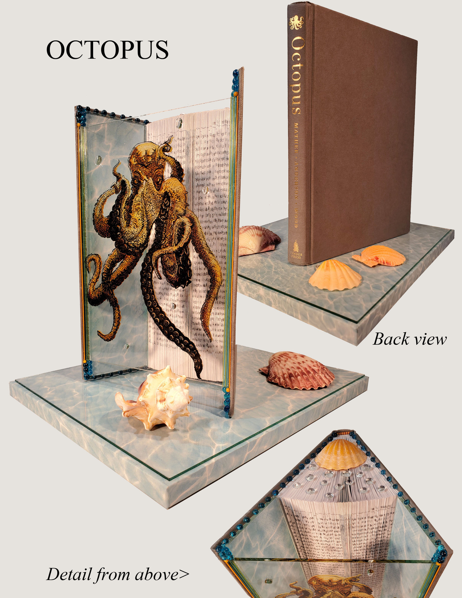 Nanci Schrieber-Smith mixed media sculpture with painted image of an Octopus on plexiglass with a book background.